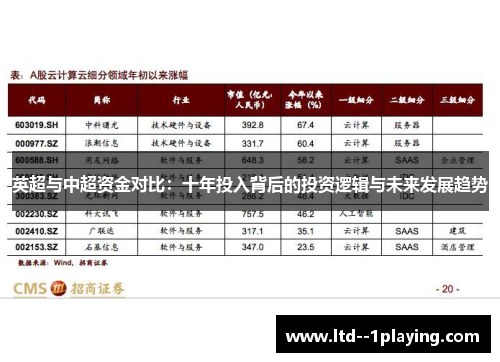 英超与中超资金对比：十年投入背后的投资逻辑与未来发展趋势